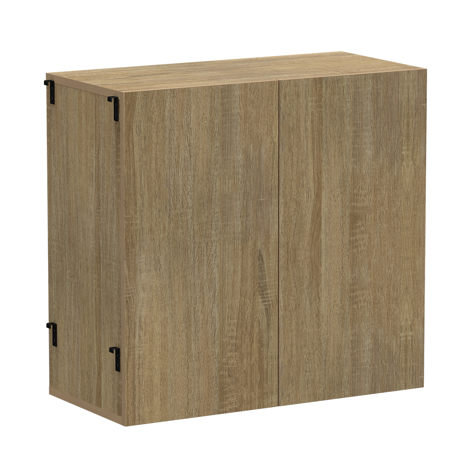 Silhouette Large 2 Door Cabinet Oak